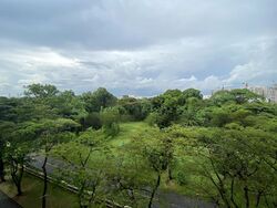 Avon Park (D13), Condominium #447049141